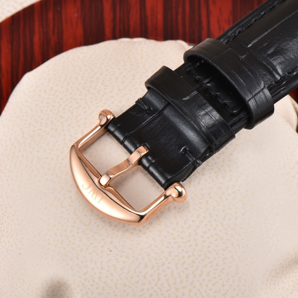 アイ・ダブリュー・シー着用イメージ